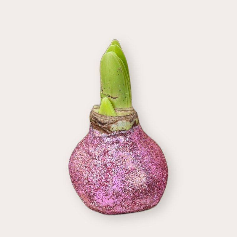 Amaryllis - Pastel roze glitter