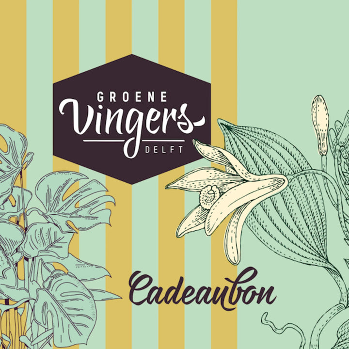 Cadeaubon