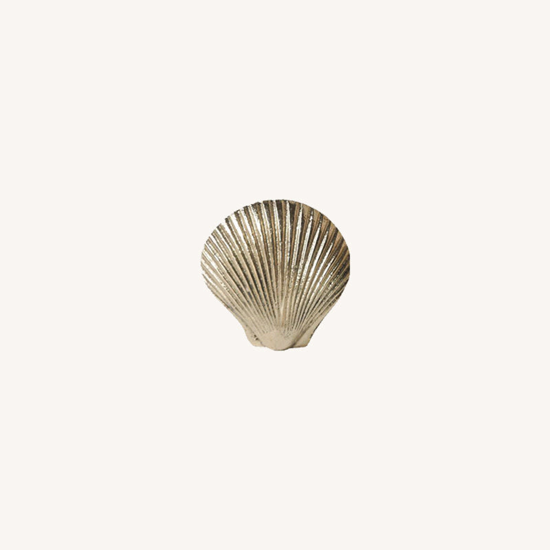 Knop - Abby shell