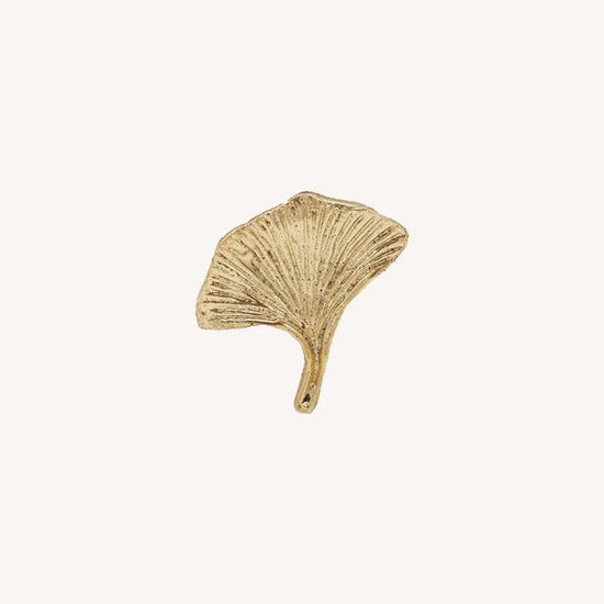 Knop - Flora ginko