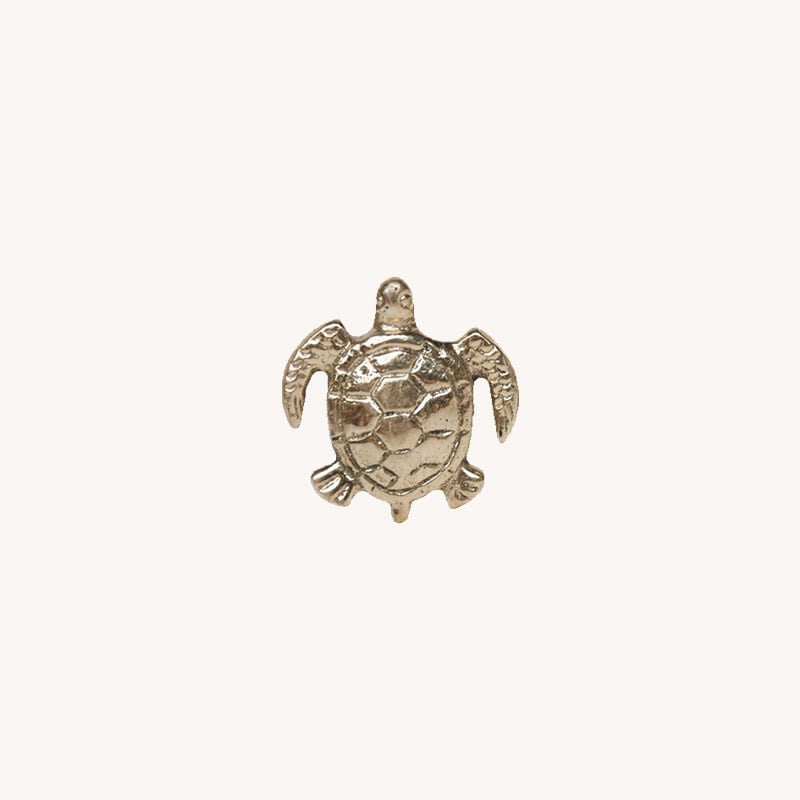 Knop - Tommy turtle