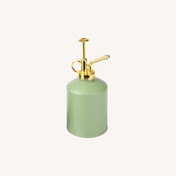 Planten spray - mint groen