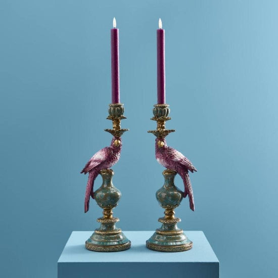 Kandelaar papegaai - Rood rechts
