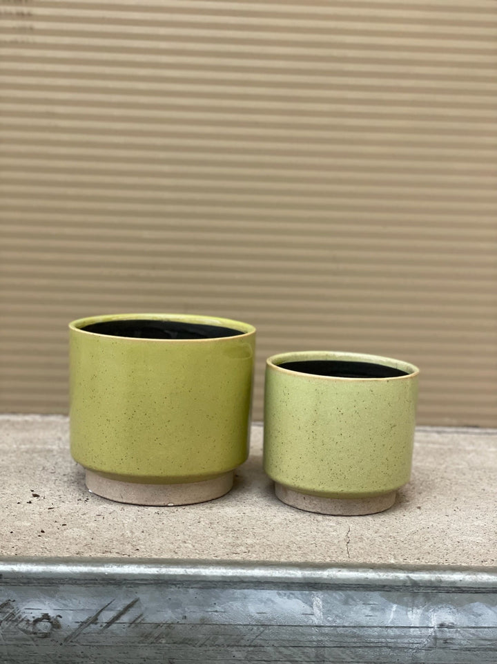 Pot stippels pistache/crème