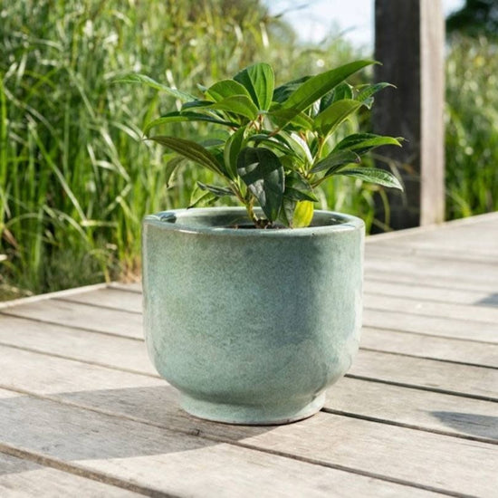 Pot Linne - Groen
