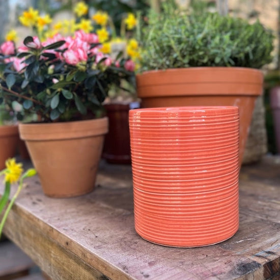 Pot Michigan - Orange