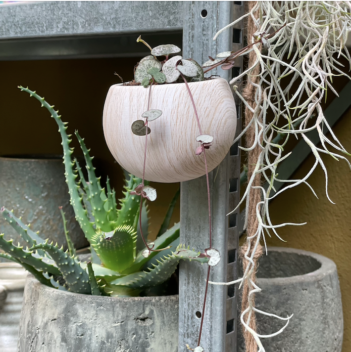 Potje magnetisch houtlook