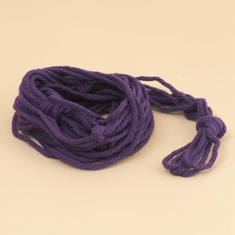 Plantenhanger - deep purple