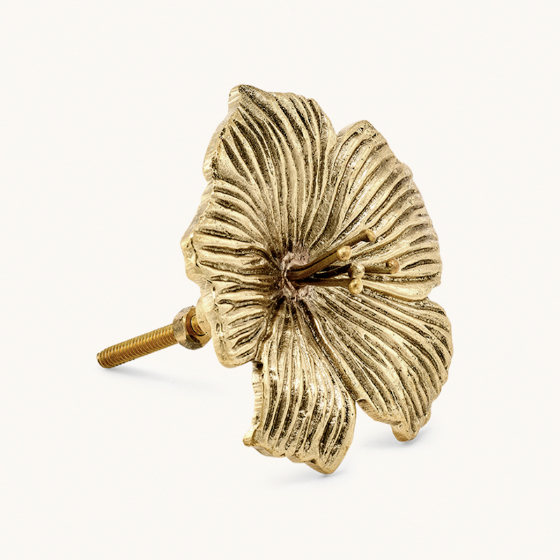 Knop - Hailey Hibiscus