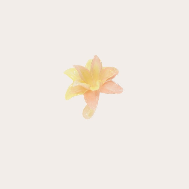 Decoratie Amaryllis