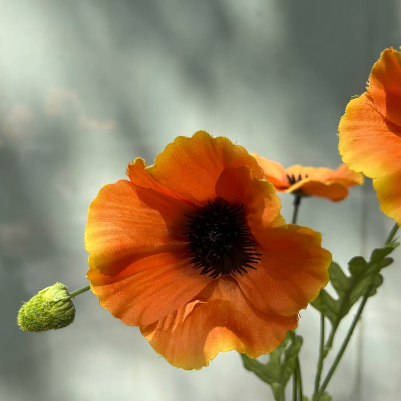 Zijden bloem - Poppy Spray - oranje