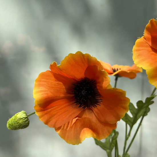 Zijden bloem - Poppy Spray - oranje