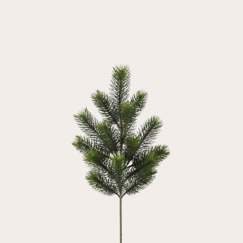 Zijden bloem - Dennentak 1