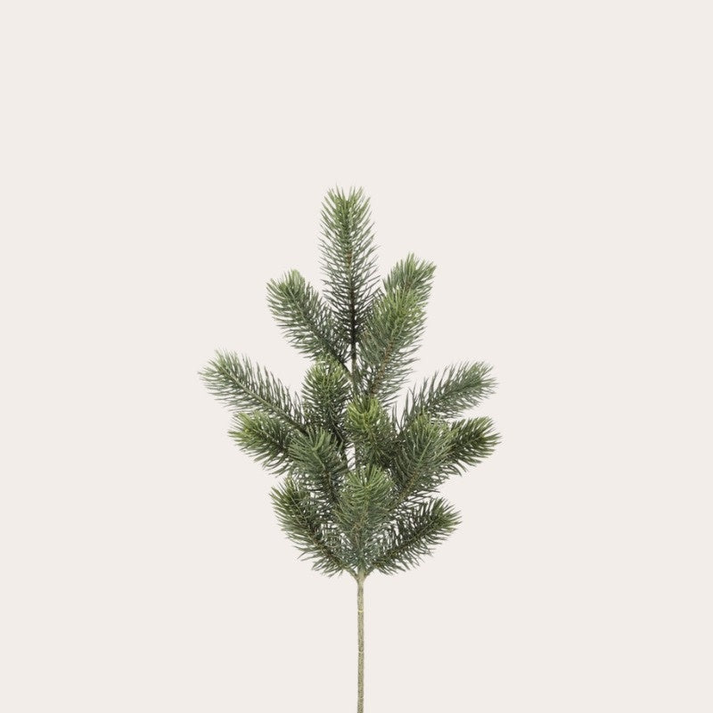 Zijden bloem - Dennentak 2