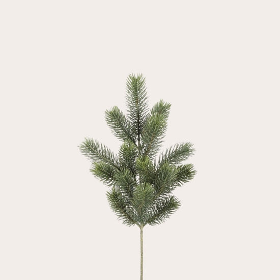 Zijden bloem - Dennentak 2