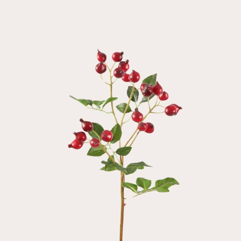 Zijden bloem - Rozenbottel rood