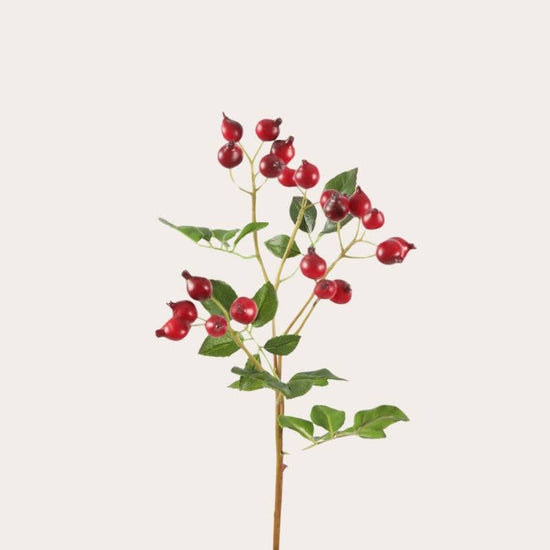 Zijden bloem - Rozenbottel rood